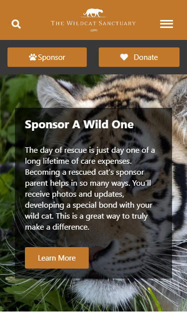 Archived product design portfolio image 17